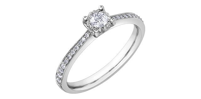 0.26 ct T.W. Round Cut Pave Diamond White Gold Ladies Ring