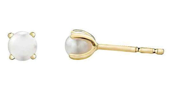 10K Yellow Gold Pearls Studs