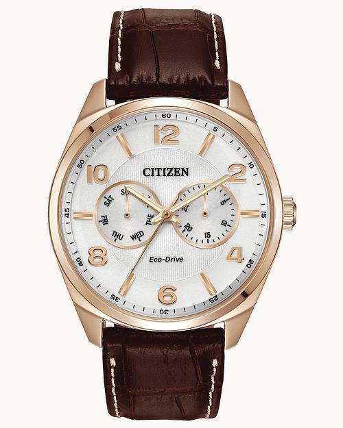 Citizen Eco-Drive Corso Brown-Tone Watch (Model AO9023-01A)
