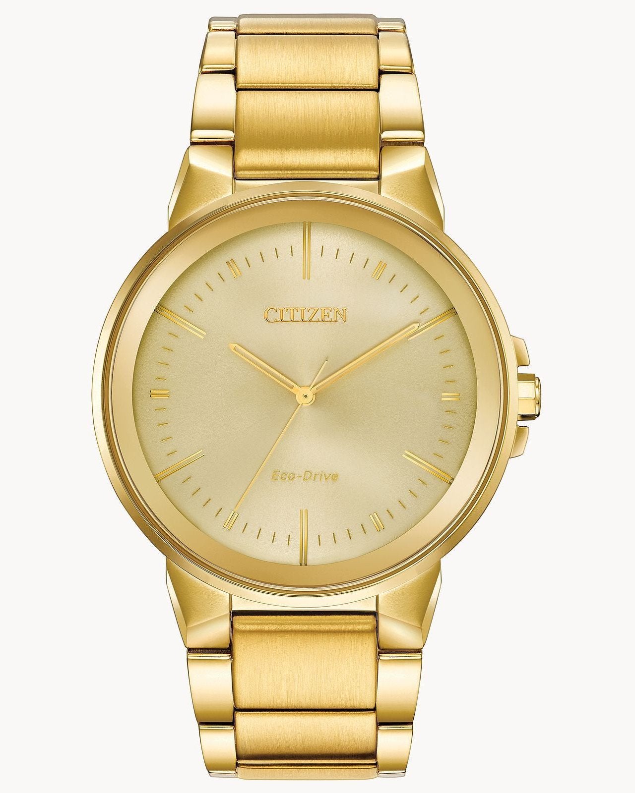 Citizen Eco-Drive Axiom Gold-Tone Watch (Model BJ6512-56P)